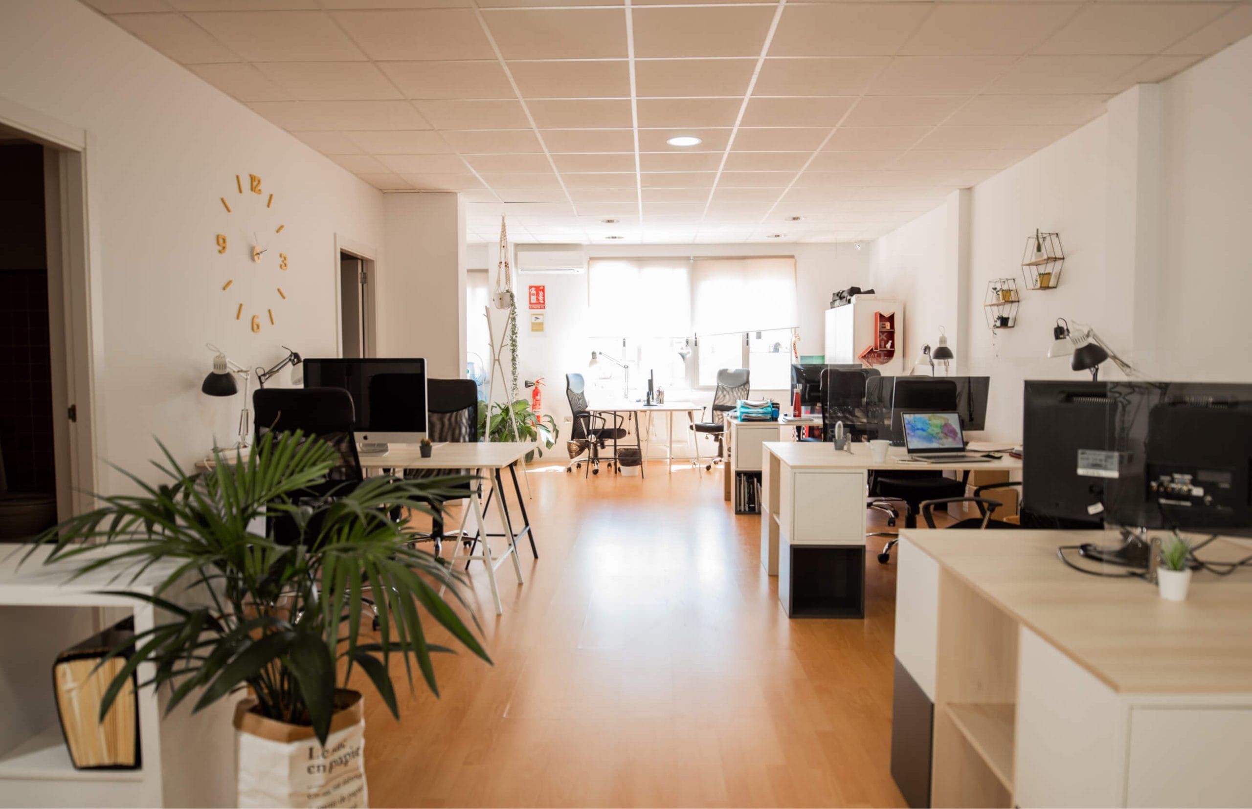 Llum Coworking Valencia 🔆, espacios de coworking en Valencia