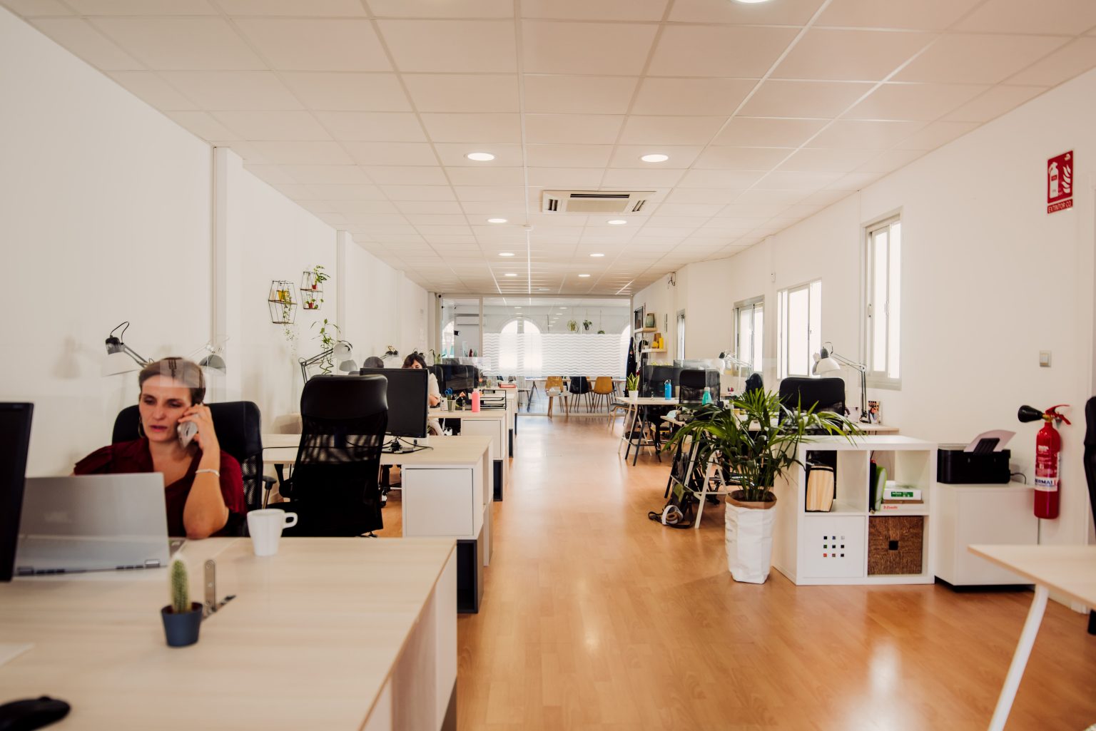 Llum Coworking Valencia, photo 8